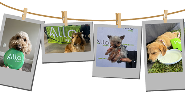 Dogs at ALLO Fiber community events showcasing pet-friendly lifestyle supported by fast reliable internet for smart pet devices.